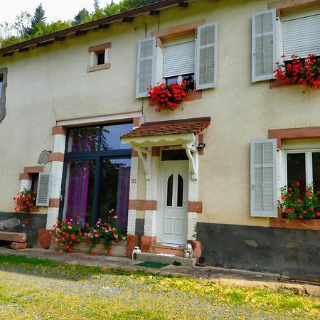 Le Logis Aux Digitales Apartment La Croix-aux-Mines ภายนอก รูปภาพ