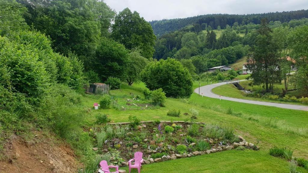 Le Logis Aux Digitales Apartment La Croix-aux-Mines ภายนอก รูปภาพ