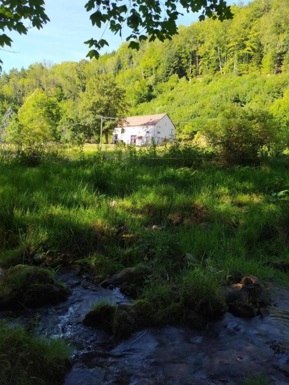 Le Logis Aux Digitales Apartment La Croix-aux-Mines ภายนอก รูปภาพ