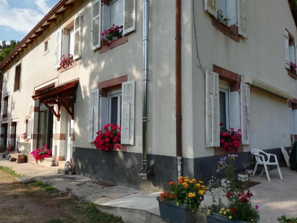 Le Logis Aux Digitales Apartment La Croix-aux-Mines ภายนอก รูปภาพ