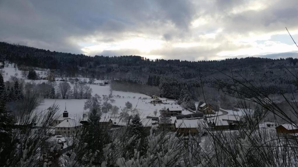 Le Logis Aux Digitales Apartment La Croix-aux-Mines ภายนอก รูปภาพ