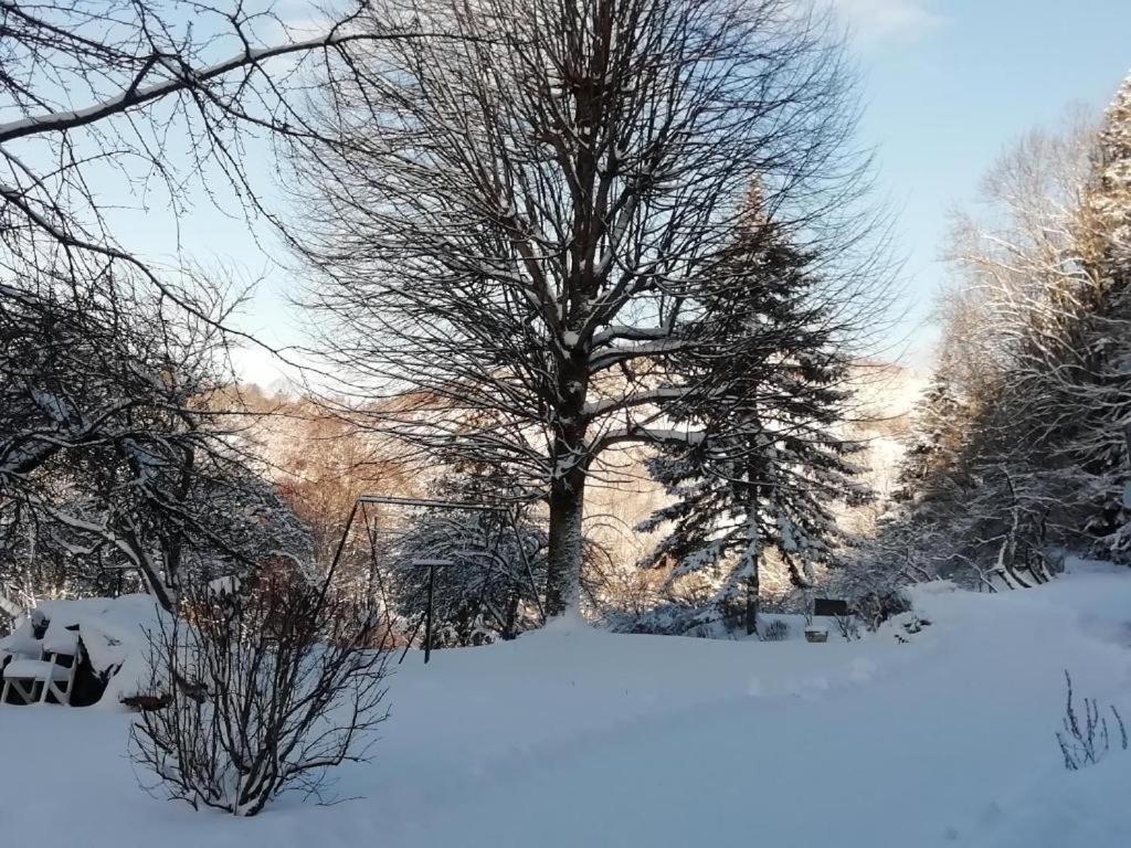Le Logis Aux Digitales Apartment La Croix-aux-Mines ภายนอก รูปภาพ